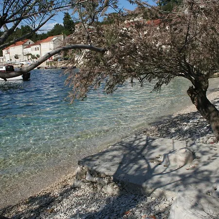 Studio Racisce 4341a * Korčula